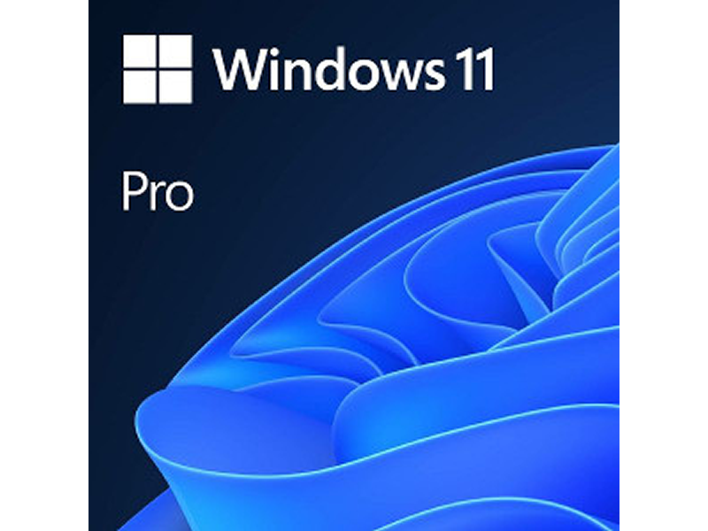 Windows 11 Professional CRO